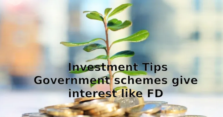 Investment Tips These government schemes