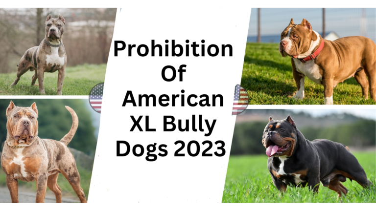 Prohibition-Of-American XL Bully Dogs-2023