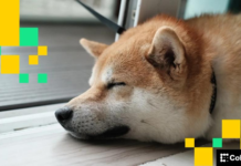 Memecoins drift lower as traders defend resistance zones