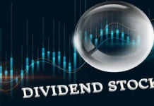 Dividend Stocks – Meaning, Examples, Importance